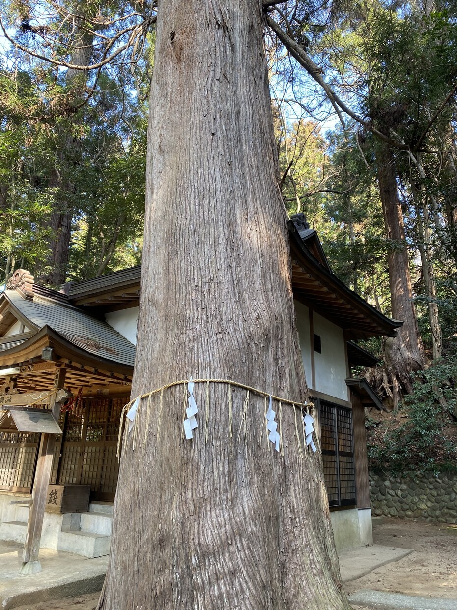 数秘術であなたの本質占います ☆性格、才能、課題、使命、本心、本当の自分を知れば未来が輝く イメージ2