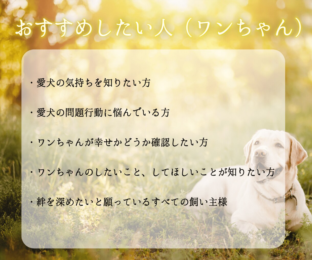 愛犬と飼い主様の心を繋ぎたい。ワンコと話します タロット・ダウジング・アニコミの３本柱で愛犬の気持ちを深堀り イメージ3