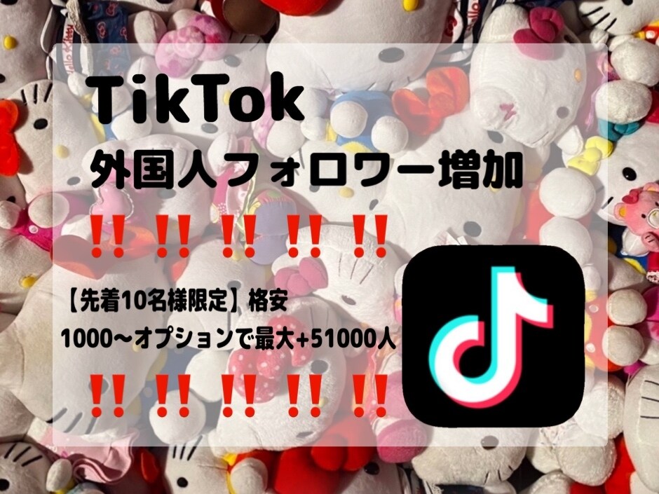 限定価格‼️Tiktokフォロワー増やします 実績作り✴︎格安✴︎Tiktokフォロワー増加✴︎即納 イメージ1