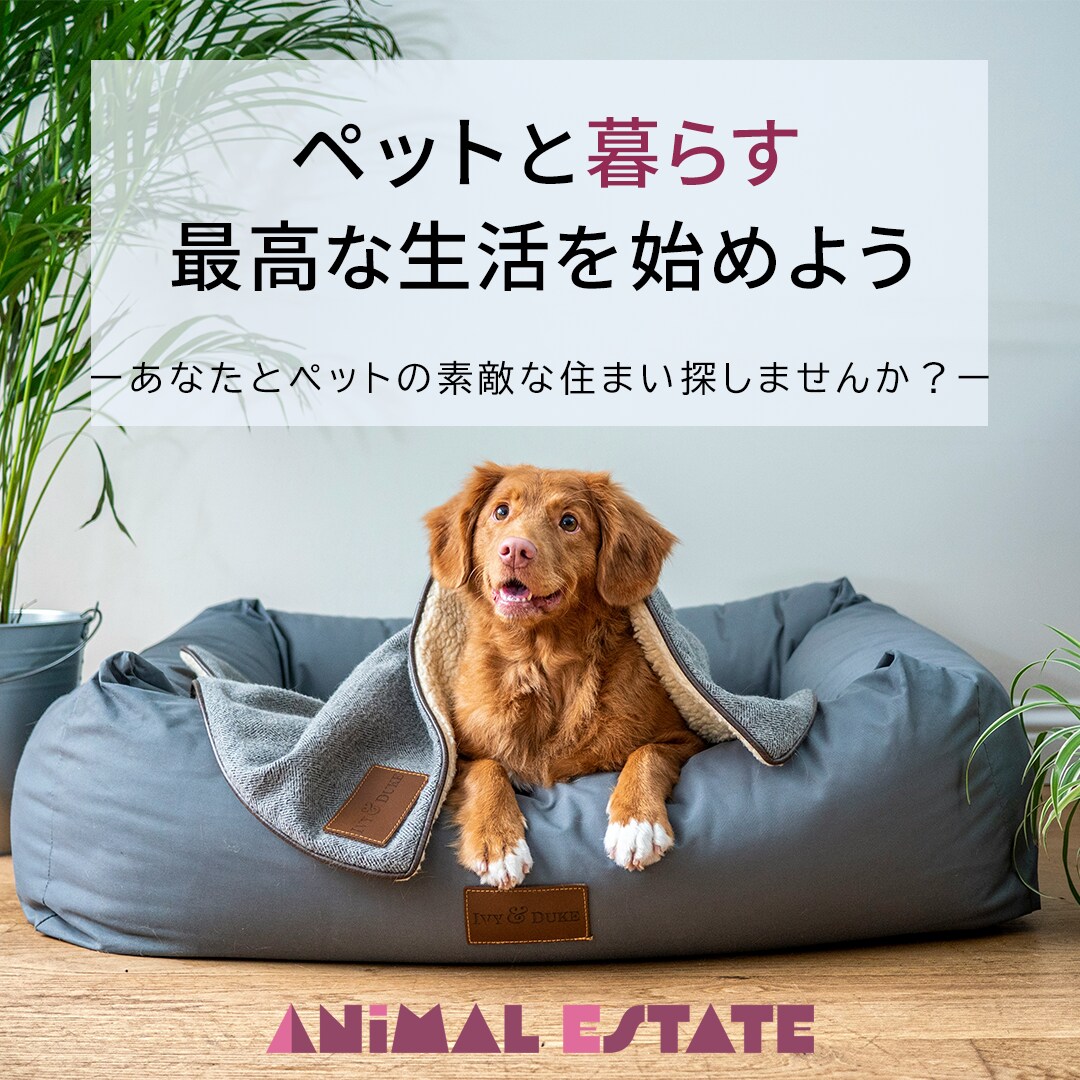 心と目を引くバナー作ります スピーディーで高品質／低価格なデザインをいたします。 イメージ4
