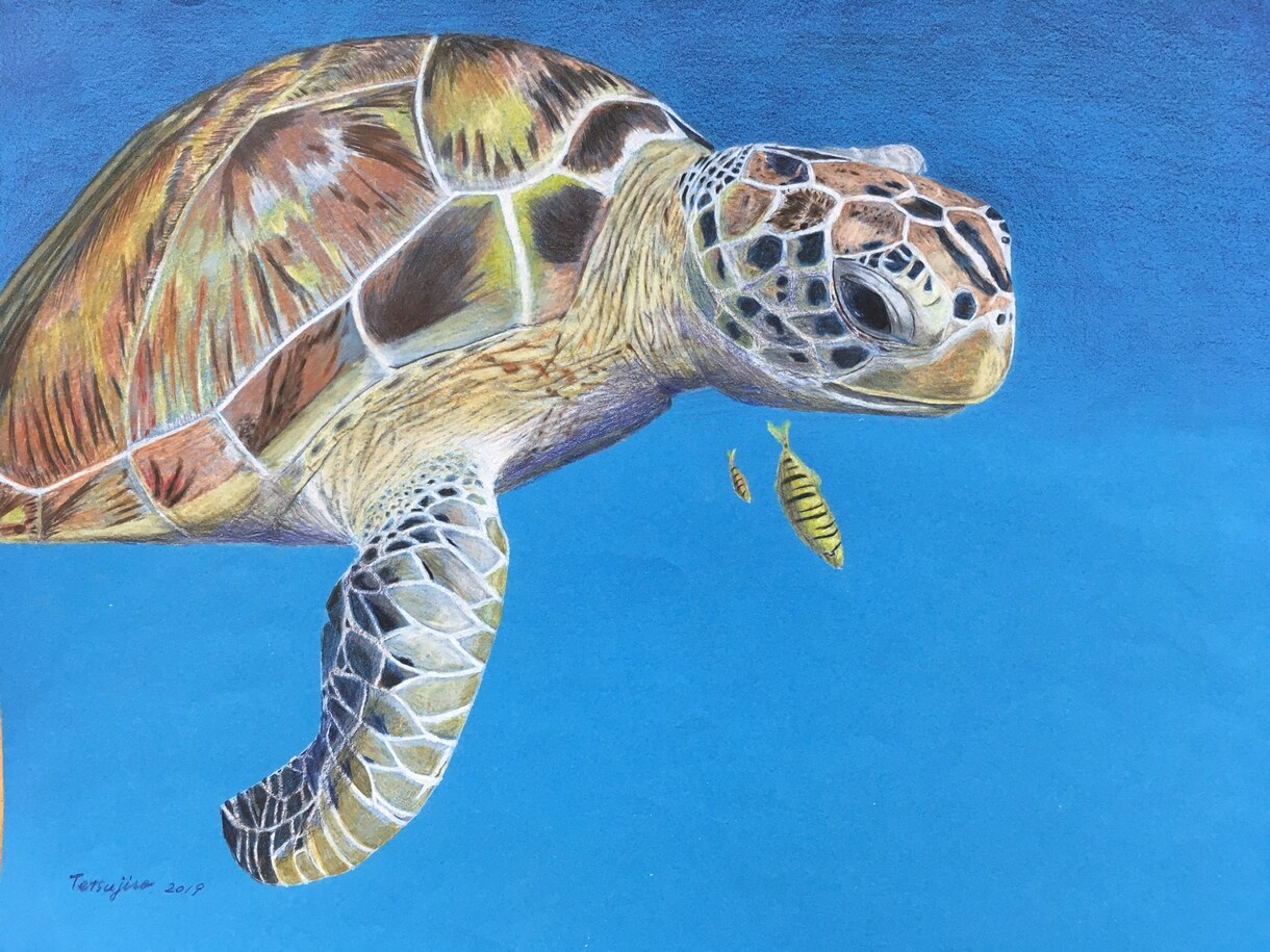 色鉛筆で、あなたが描いて欲しい絵を描きます あなたが大切にしている人や動物、モノなどを絵で残しませんか。 イメージ2