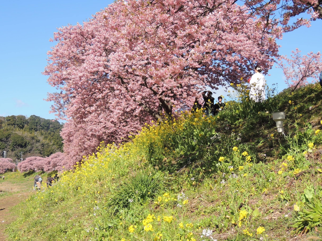あなただけの旅を演出します Japan Travel Planner イメージ1