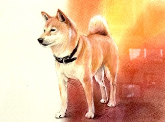 大切なペットの絵を写真から手描きで描きます お気に入りの写真があれば1匹から描きます。 イメージ2