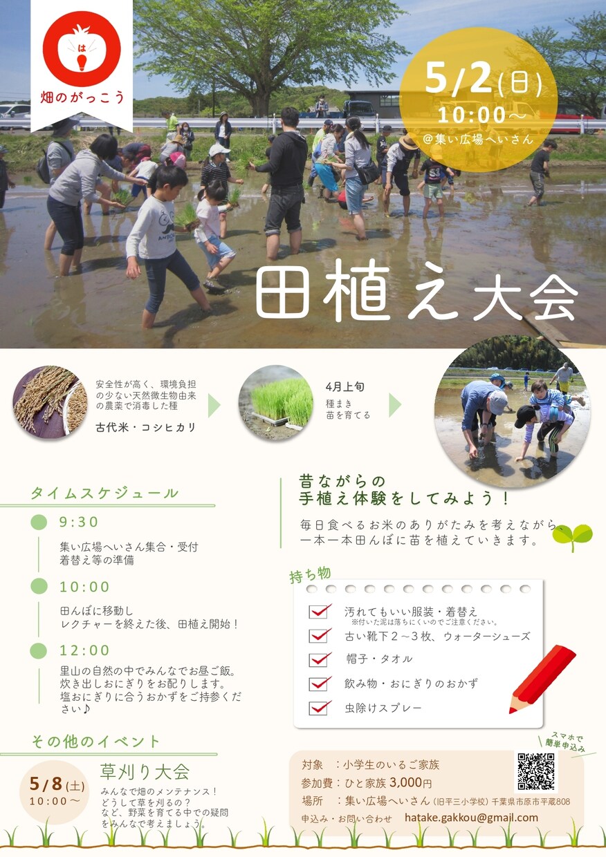 シンプルでわかり易いチラシ、タイムテーブル作ります 両面でも6,000円！格安で三つ折りフライヤー！英語もOK！ イメージ6