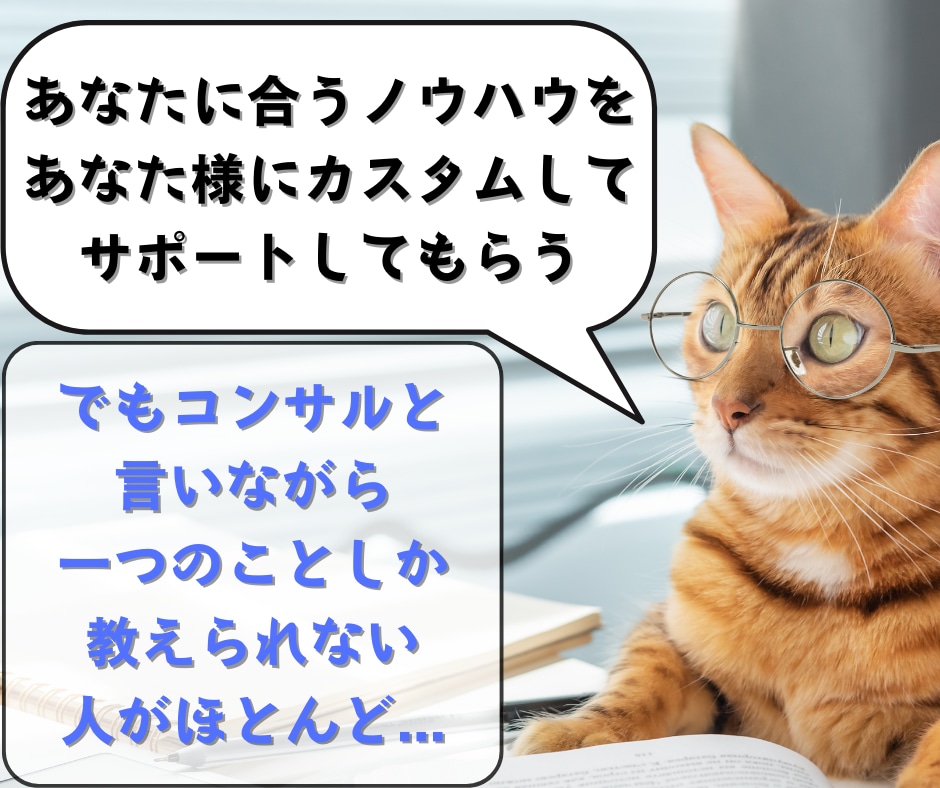 ネット副業を成功に導くオーダーメイドコンサルします 初心者でも稼ぐための力と戦略が手に入る！販売自動化も可能！ イメージ6