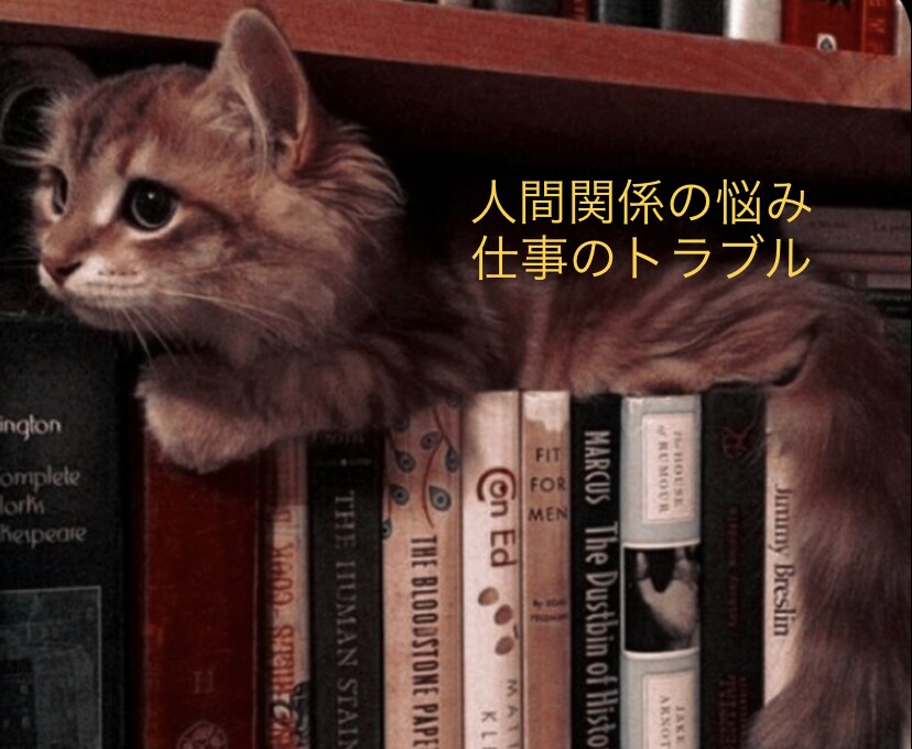 メッセージでご相談受け付けます ココナラお試し価格　3往復：1,500円 です！ イメージ1