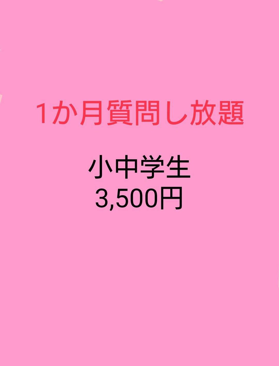 チャットで１か月質問し放題！丁寧に教えます 元教員、現プロ家庭教師が指導します。 イメージ1