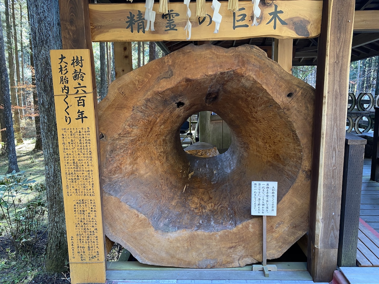心が疲れたあなたへ｜恋・孤独・不安、お話し聞きます 人間関係/内緒の恋/子育ての不安/誰でもいいから話したい イメージ6