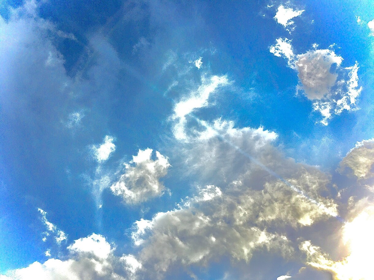 きっとあなたにピッタリな高画質な写真が見つかるます 写真家だーーーーーーーーーーーーーーーーーーーーーーーーーー イメージ1