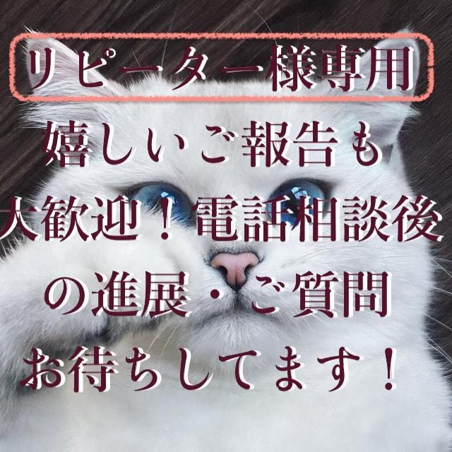 リピーター様＊専用その後の経過を伺い軌道修正します 嬉しいご報告も大歓迎！電話相談後の進展・質問お待ちしてます！ イメージ2