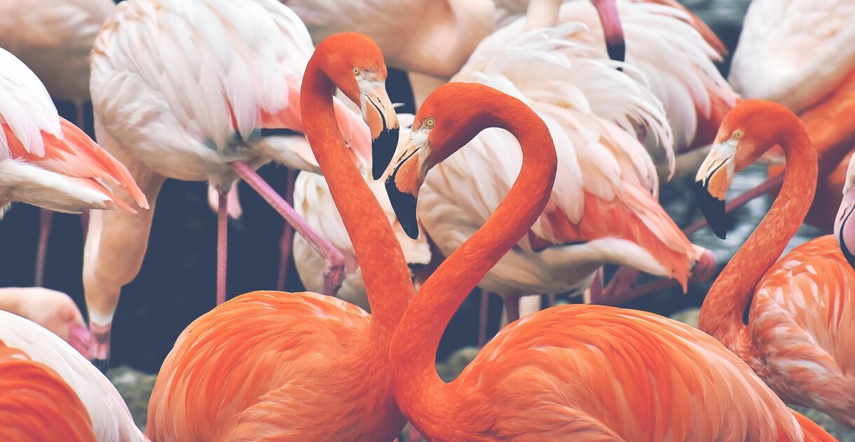 恋愛・仕事の人間関係全般◎相手の気持ちを鑑定します 1500字～｜片思い/復縁/結婚/不倫/浮気/秘密の恋愛等 イメージ6