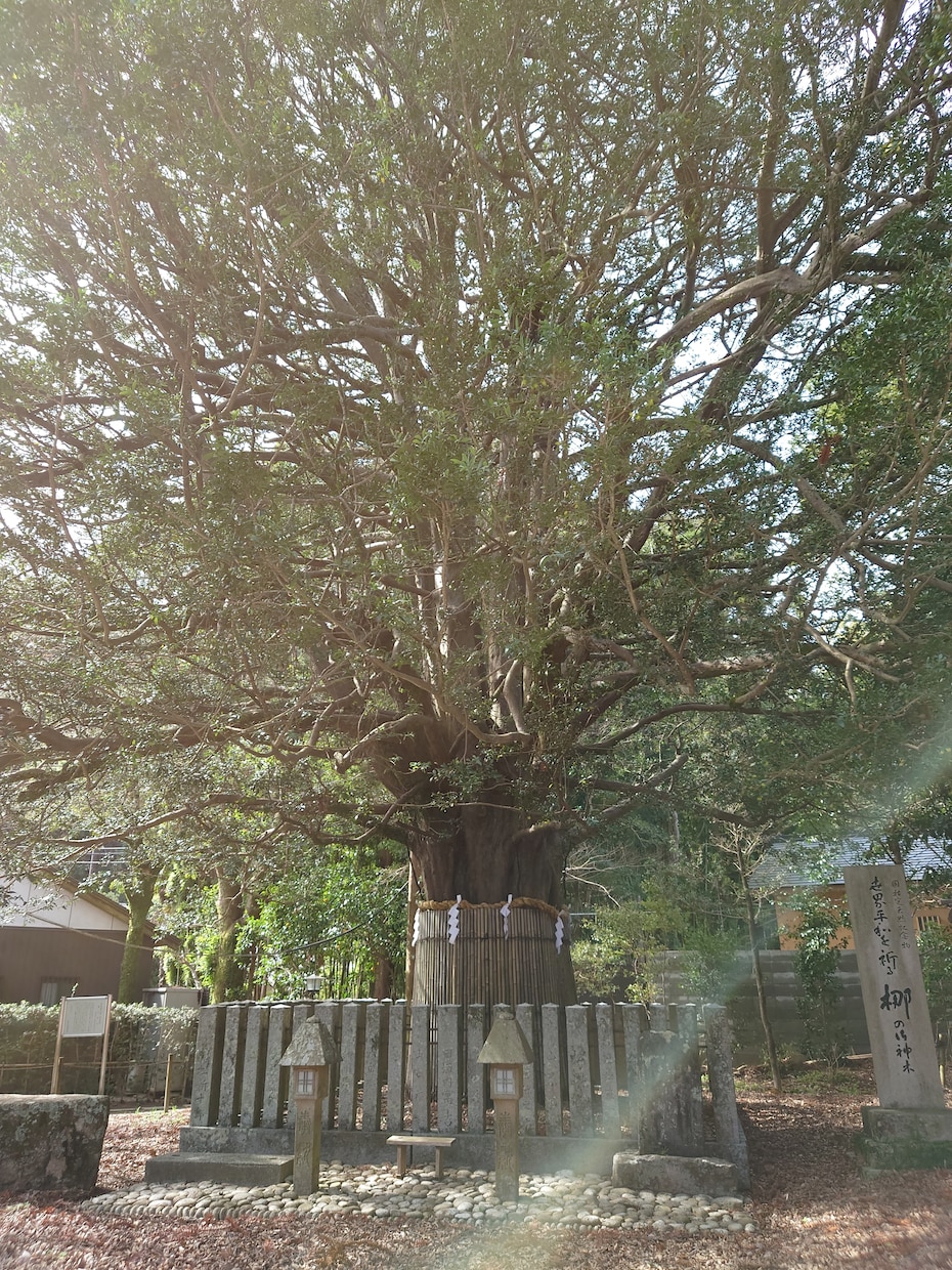 愚痴　お悩み　自慢話　聞きます 愚痴　お悩み　自慢話　お話しください　心が軽くなります イメージ2
