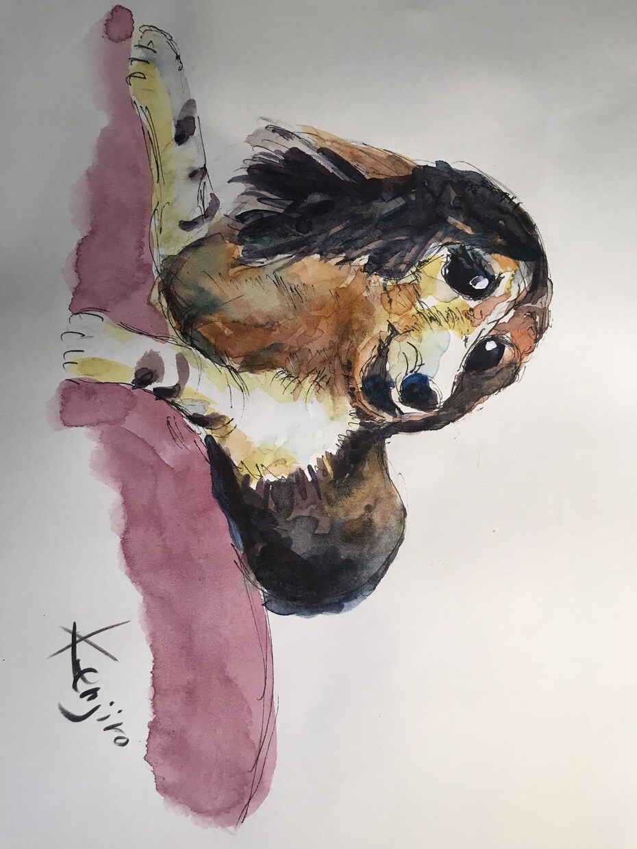 人物画、動物画を水彩画で描きます らしさ、可愛いさ、親しみ感がテーマです。 イメージ1