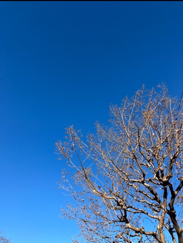 気分変調性障害当事者が丁寧に寄り添います 症状/うつ病との違い/双極性障害との違い/悩み/不安 イメージ5