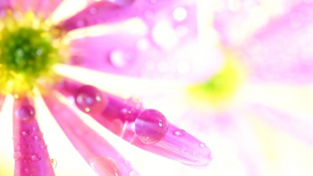 不倫⭐︎W不倫でお悩みの貴方へ♦︎視ます ★過去世・ガイド拝見いたします⭐︎ヒーリング付き★ イメージ4