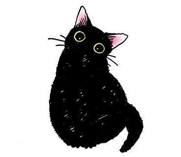 あなたの猫ちゃんを描きます 好きな猫、飼ってる猫、思い出の猫イラスト描きます！ イメージ6