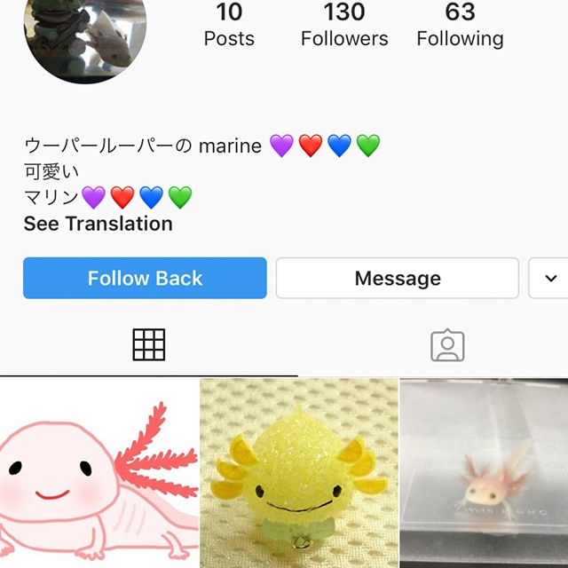 インスタの日本人フォロワーが増えるように宣伝します ココナラ最安&TOPセラー！美容関連女性アカウント指定可★ イメージ5