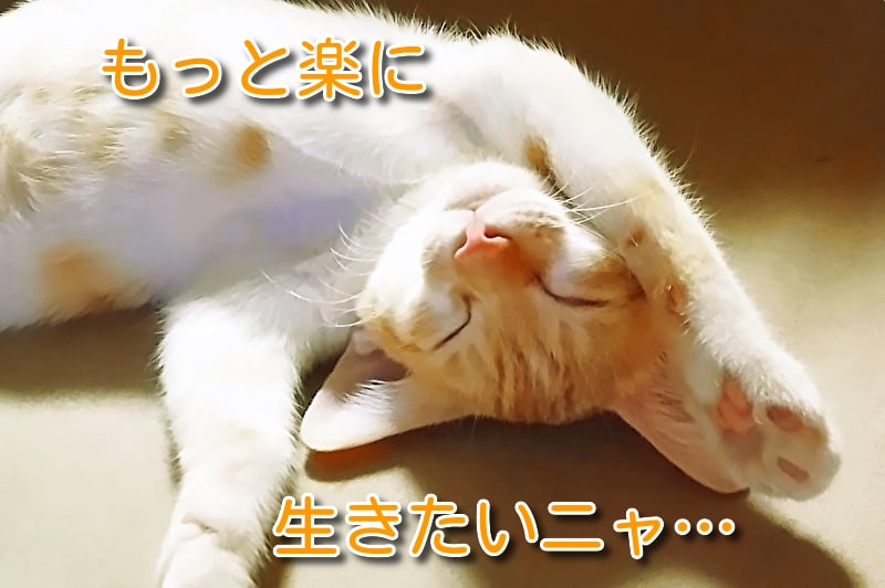 接客歴２０年、現役秘書があなたの心に寄り添います 気軽に１分からお試し♡少しだけ話したい！フレンドリー☺癒し系 イメージ5