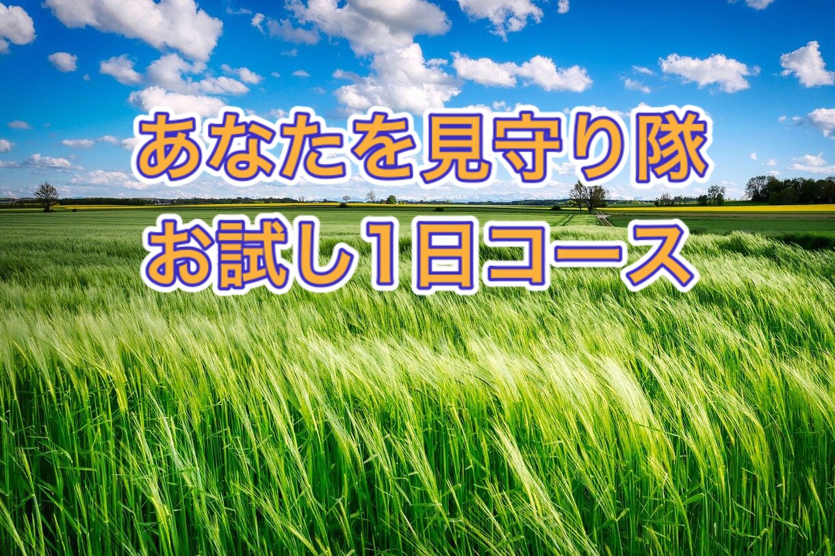 お試し1日@パニック障害の方のお出かけを支援します 怖いお出かけ時、トークルームでお話する事であなたを見守ります イメージ3