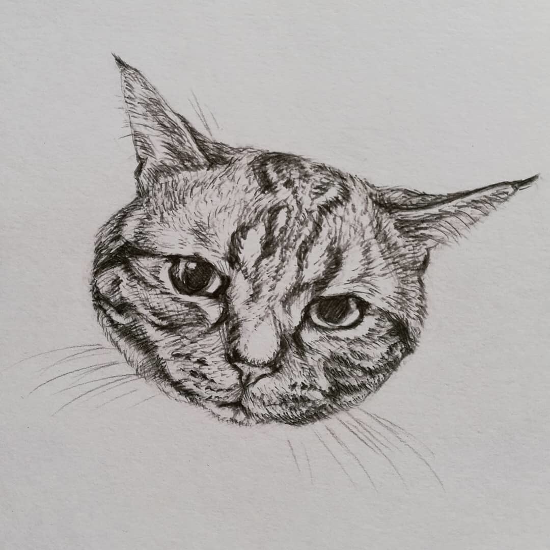 デッサンの描き方、モノの見方を教えます デッサンの上達のサポートを行います イメージ1
