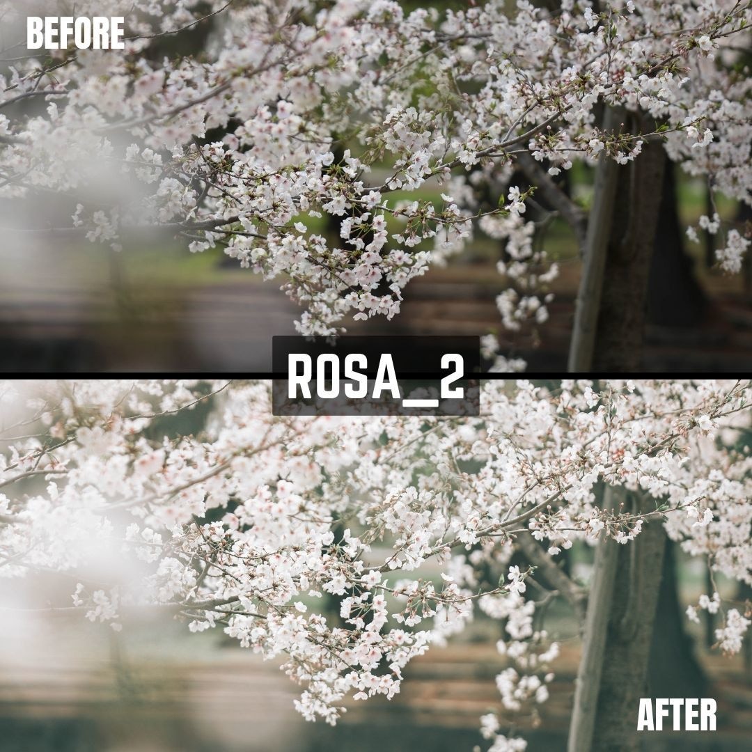 ROSA｜Lightroomプリセット販売します スマホで撮影した写真、ワンタッチで大変身！ イメージ7
