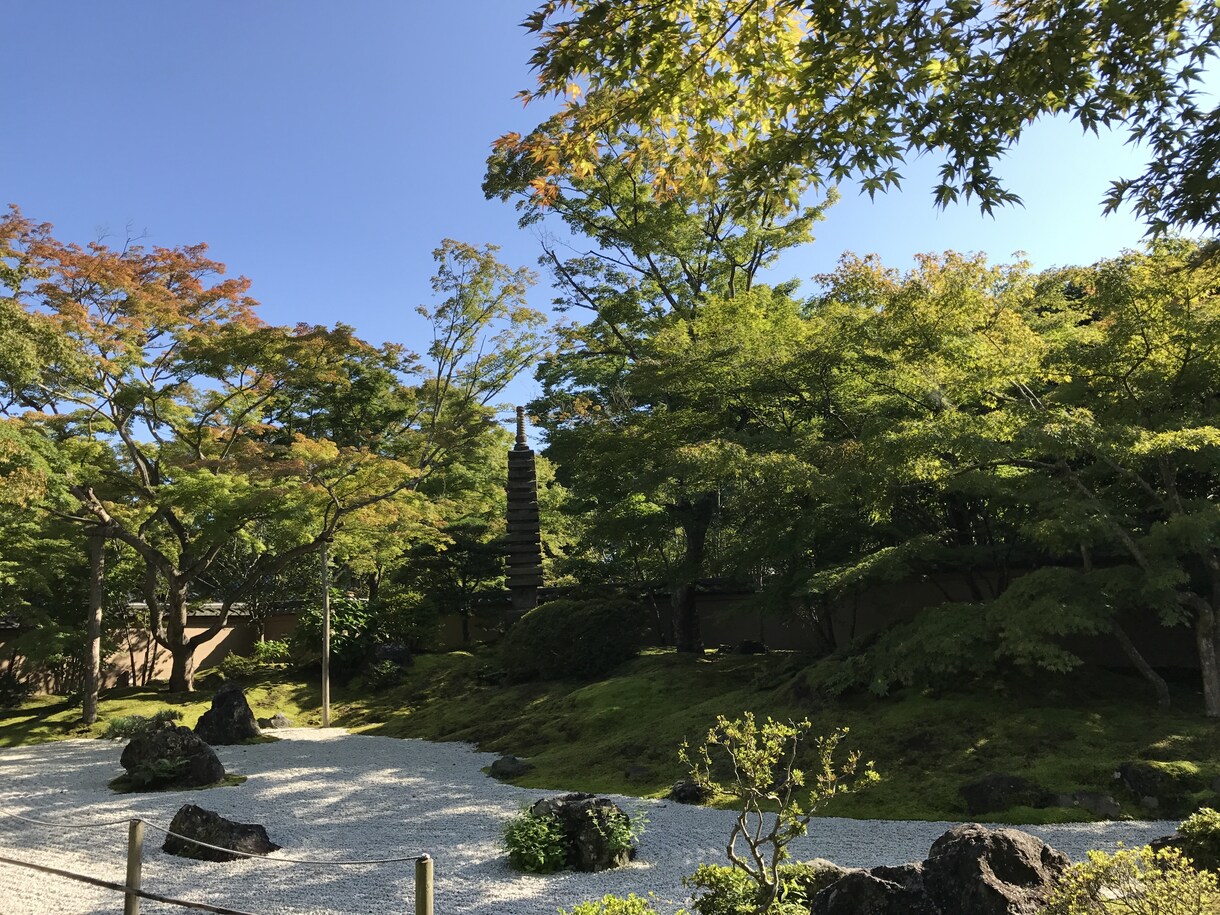 仕事の悩みお聞きします 仕事内容、人間関係、就職、転職に悩みがあるあなたへ イメージ1