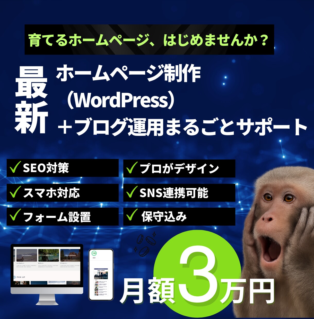 育てるホームページ制作｜記事更新・SEO対策します 【月額3万円】ブログ付きで“育つ”サイトを丸ごとお任せ イメージ1