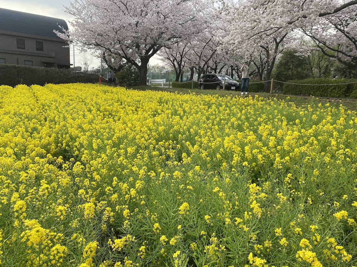 恋愛の悩み聞きます 片想いから両思いまで、様々な恋愛の悩みありませんか？ イメージ1