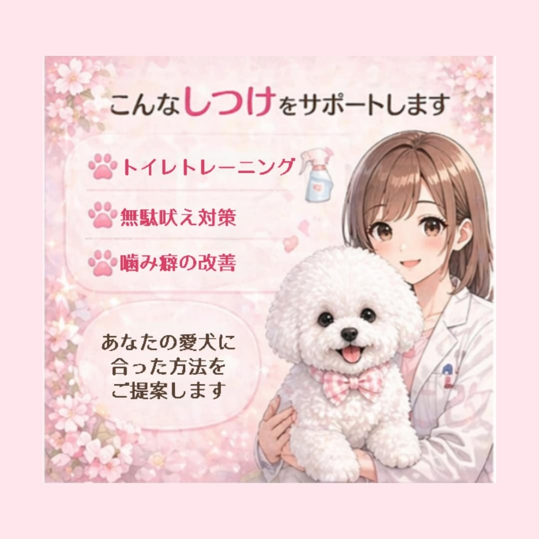 子犬のしつけ・噛み癖・トイレの悩みアドバイスします あなたと愛犬に合った“無理しないしつけ”をご提案します イメージ3