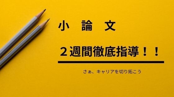 ２週間小論文対策！書く悩みの解消をします 小論文受験の戦略と戦術を伝授し書き方指導・質問対応します！ イメージ1