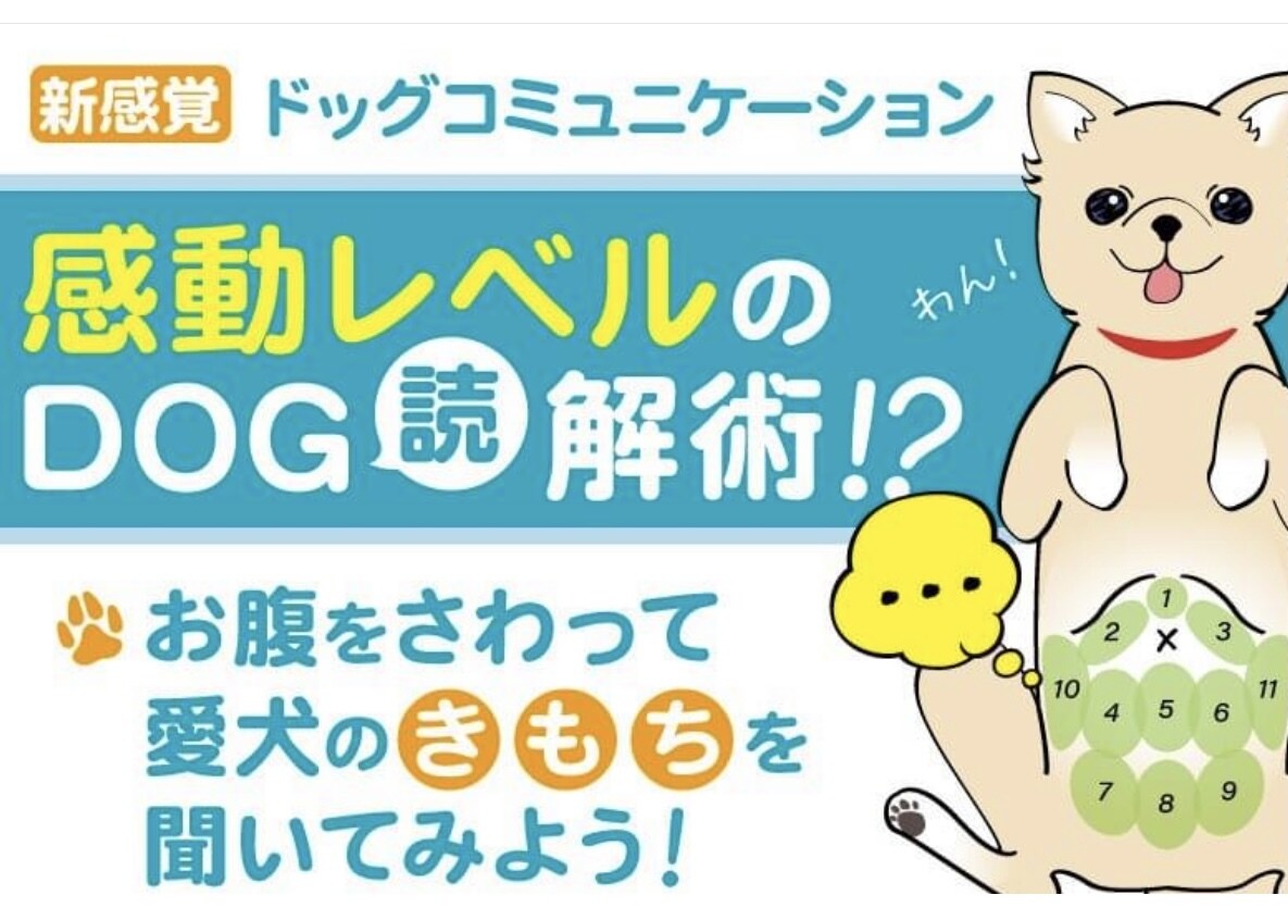 ワンちゃん専門オモシロ腸相診断をオンラインします 愛犬の心の声聞いてみませんか？ イメージ2