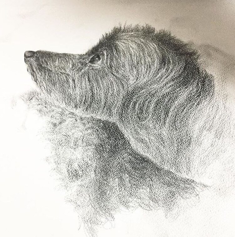 貴方の大切な家族の一員を描きます 愛犬、愛猫、愛魚、愛兎どんな動物でもお任せ下さい！ イメージ5