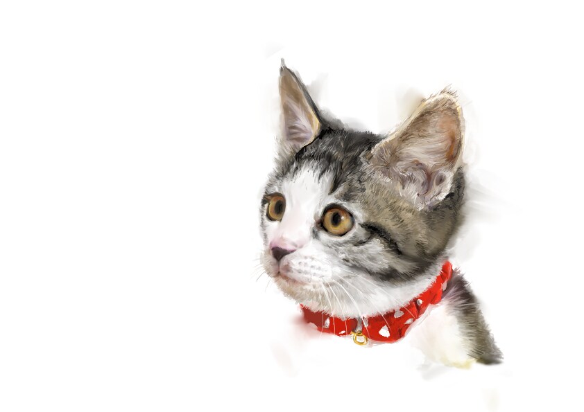 かわいいペットや動物のリアルイラストを描きます プレゼントやお部屋のインテリアにいかがでしょうか？ イメージ3