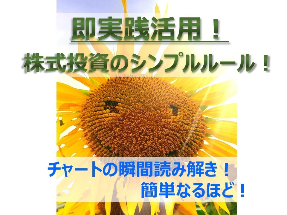 即実践活用！トレーダーがシンプル投資法を教えます 難しいのはなし！悩みを解消！シンプルルールを図表で解説 イメージ1