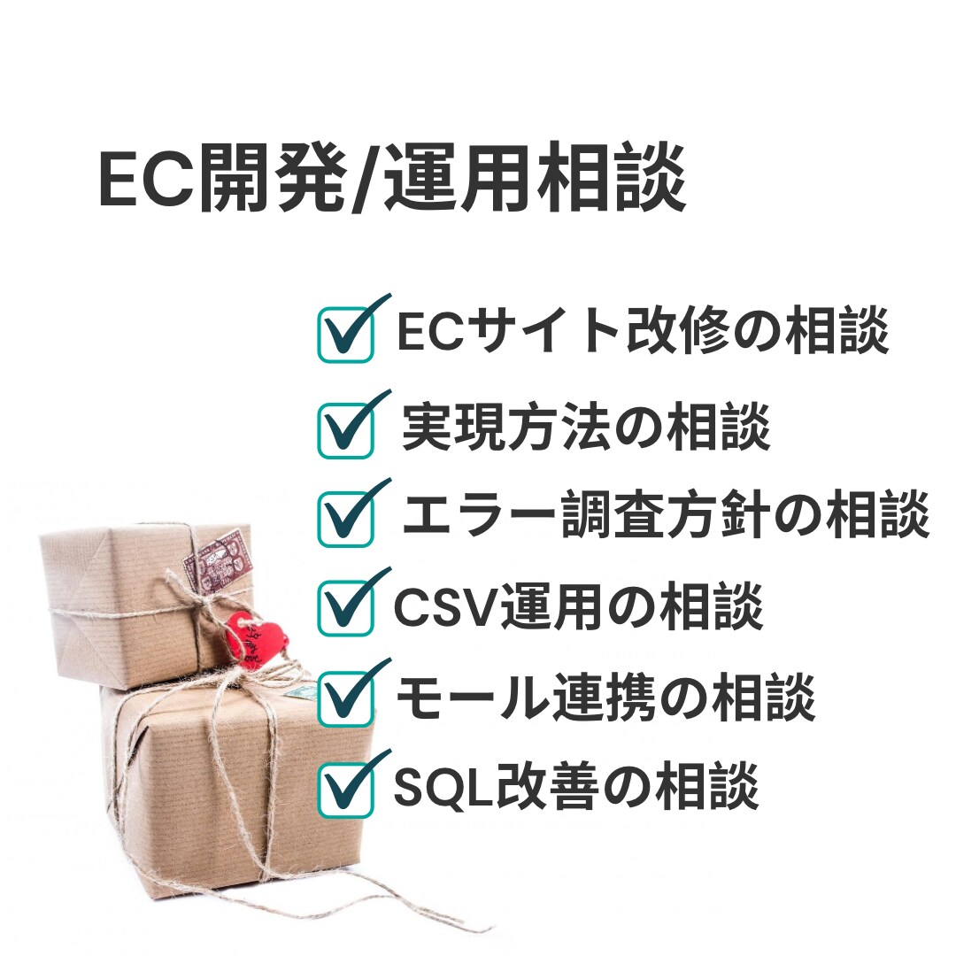 EC開発・改修・運用のお悩み相談に対応します どうしたらいいか分からない、合っているか不安な方 イメージ1