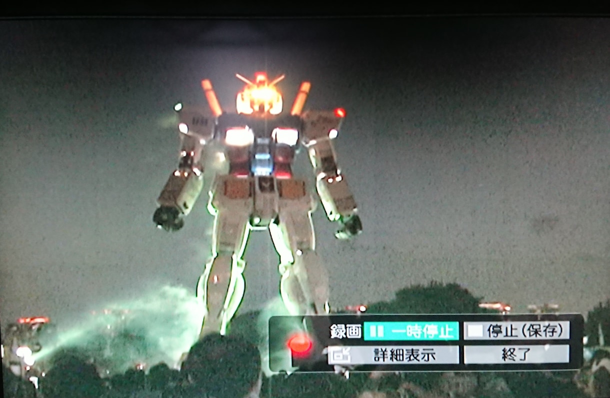 miniDV(HDV)/8mmビデオを変換します 家族の大事な映像記録をまた見れるようにしたい方へ イメージ3