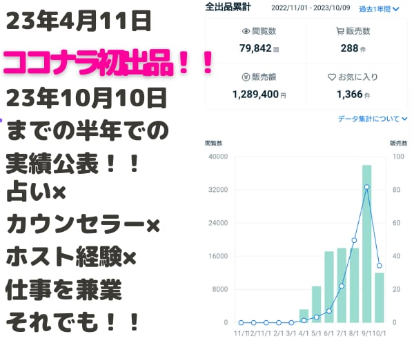 0から始めるココナラ出品！一緒に作戦会議いたします ビギナー～シルバー様おすすめ！一緒にプラチナを目指しましょう イメージ2