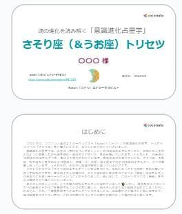 さそり座トリセツ【アナタ専用】PDFにて捧げます ミステリアスな磁力と圧倒的なパワーで限界を超えるカリスマ達へ イメージ4