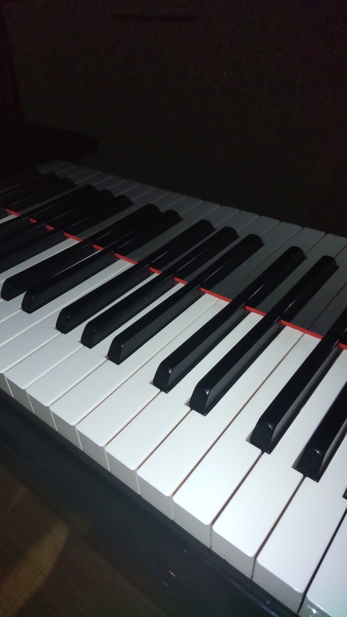 歌や楽器の伴奏譜の指導、参考演奏、作成します 学校での合唱や音楽会での難しい楽譜を弾きやすく指導します! イメージ1