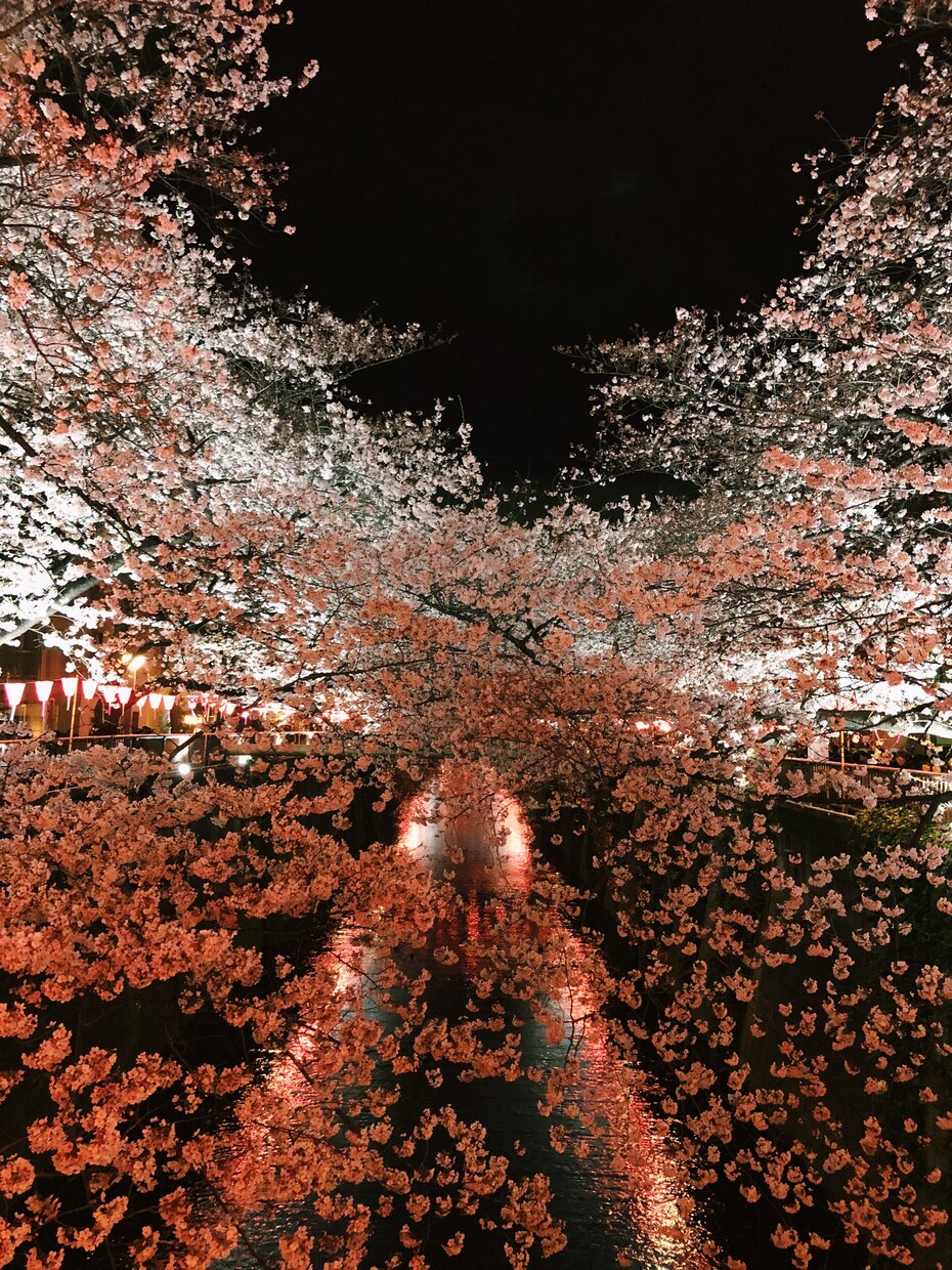 旅行や結婚式などの動画編集致します 旅行の思い出やウェディング、などなど動画の編集承ります！ イメージ3