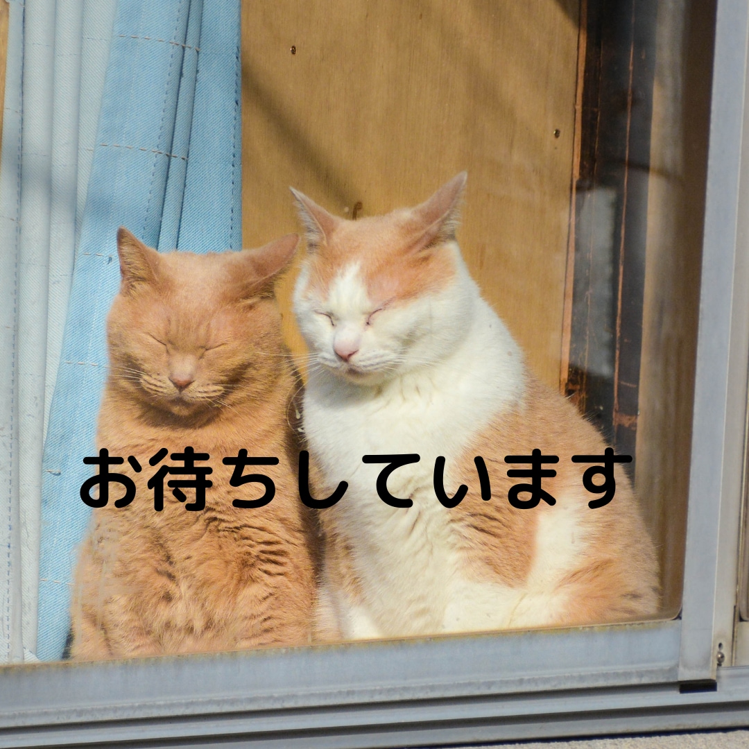 お悩みから雑談までライン感覚で60分間お聞きします 恋愛関係/夫婦関係/人間関係/話し相手/コロナ疲れ/不安など イメージ6