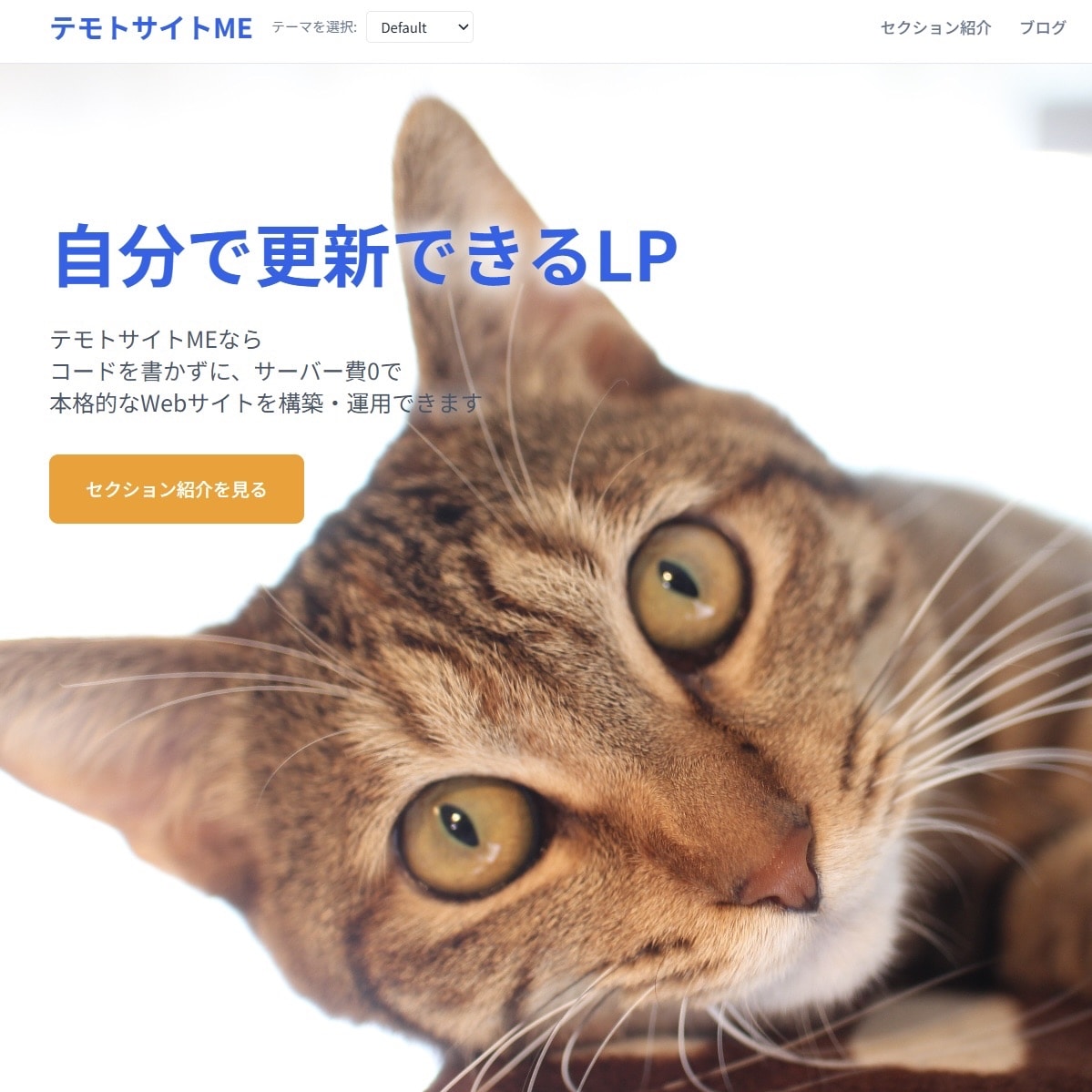 サーバー費0円！更新カンタンWebサイト制作します 自分でカスタマイズできるLP・ブログ・ギャラリーが欲しい方へ イメージ1