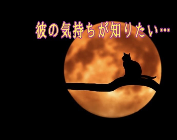 彼の気持ちは？縁結び୨୧⑅*. 愛行方霊視します ハッキリ鑑定・安心・浄化・ヒーリング・霊視 鑑定歴40年 イメージ3