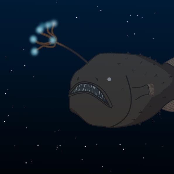 深海魚、淡水魚、海水魚、架空の魚何でも描きます ファンタジー、ミステリアス～ゆるい魚の絵までお任せください！ イメージ3