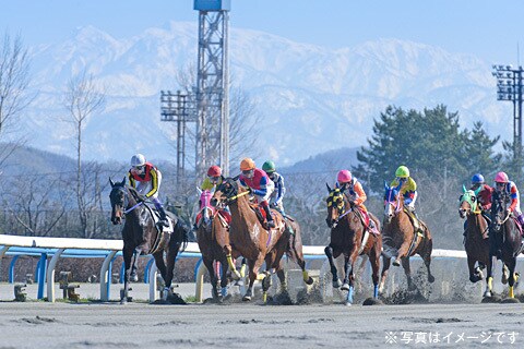 金沢競馬予想☆小頭数で的中目指します 人気に左右されない予想☆12/31までの特別価格！！ イメージ1