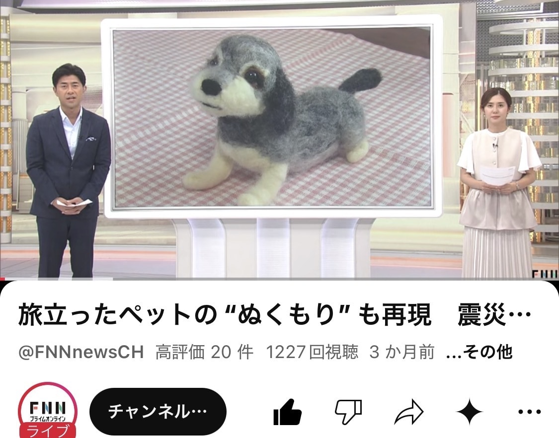 フジTVイット！出演・羊毛フェルトのペット作ります ペットちゃんとの思い出やご家族の想いもお人形に込めます イメージ10