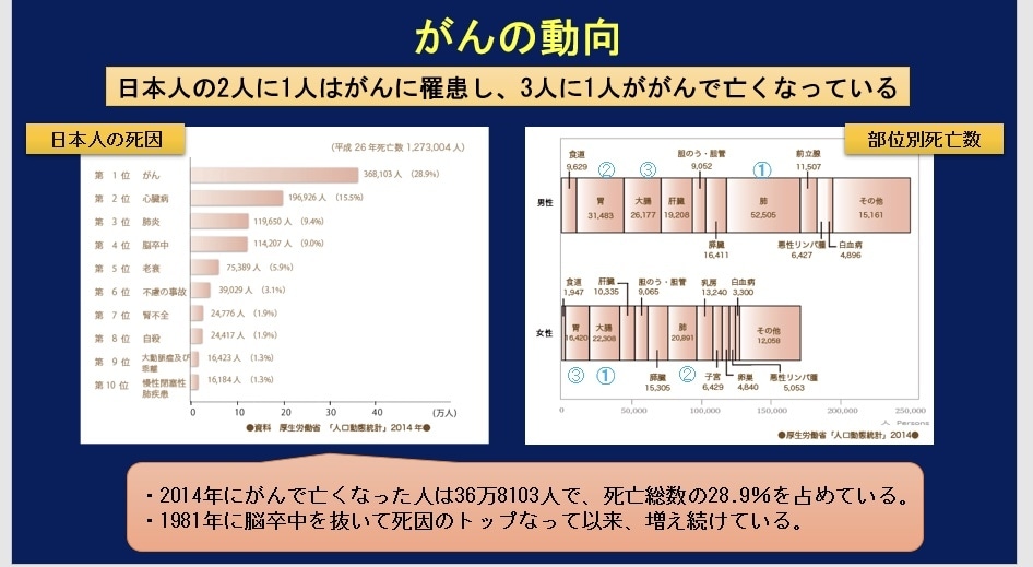 PowerPoint、ワード資料作成をします 看護学生必見！皆んなに伝わるプレゼン資料、作成をサポート イメージ5
