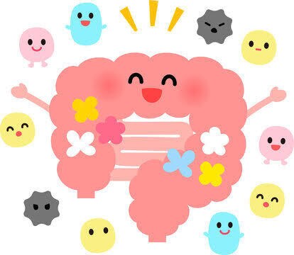 腸内環境を整える方法を教えます 初心者でもできる腸内環境の整え方 イメージ9