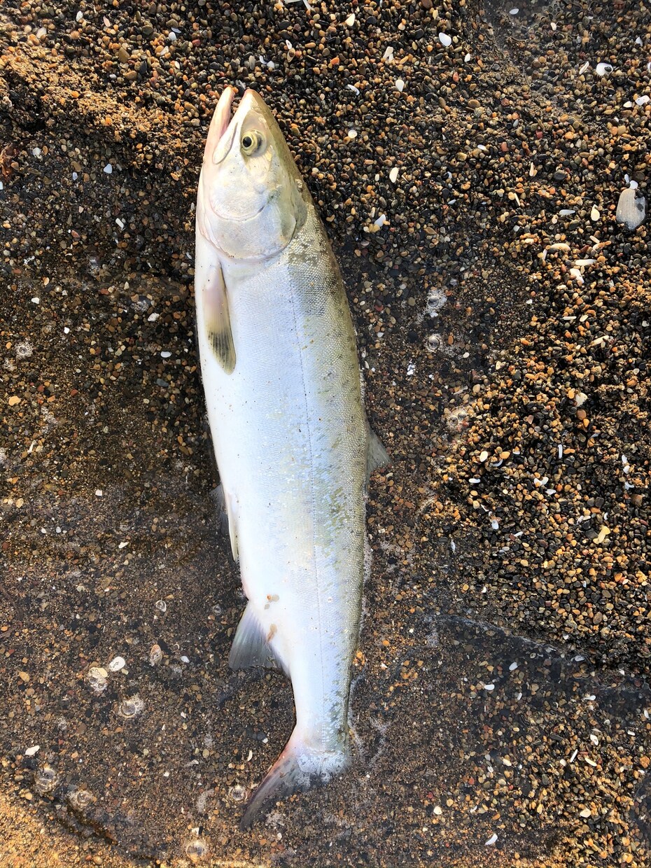 釣り初心者の方必見！どんな事でも親身にお答えします 気軽に聞けない事も、細かく丁寧にお伝えします！ イメージ2