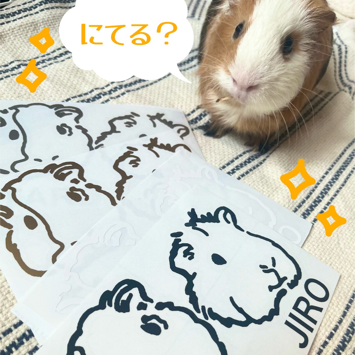 うちの子ステッカー⭐︎ペットのステッカー作ります 【車や外ドアに貼れる！】オリジナルのステッカー作りませんか？ イメージ2